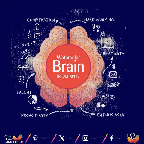 Watercolour Brain Info-graphic Templates for Presentation